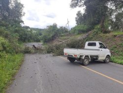 Listrik Sempat Padam, Ternyata Karena Pohon Ambruk di Areal Pemakaman