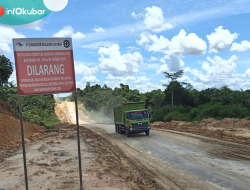 Jalan Hauling Batu Bara di Areal Sawit, PT CAK Sebut Kerugian Rp10 Miliar