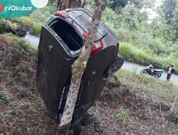 Diduga Lepas Kendali, Mobil Calya Tabrak Pohon Karet