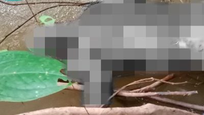 Mayat Mr. X Mengapung di Sungai Idatn Gegerkan Warga Pepas Eheng