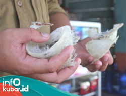 Terjebak Dalam Bangunan Sarang Walet, Maling di Muhur Nyaris Diamuk Warga