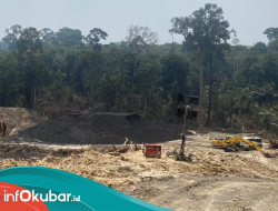 Keterlaluan! Pelabuhan Pemerintah Tampung 30 Ribu Metrik Ton Batubara Ilegal dari Intu Lingau