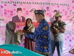 Meriahkan Dahau Sendawar, Dinas Pertanian Gelar Sendawar Beauty Cat Show