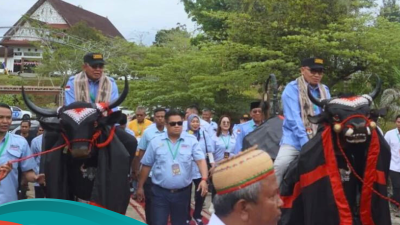 Sambil Menunggang Banteng, Ahmad Syaiful-Jainudin Daftar ke KPU Kubar