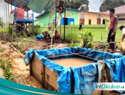 Kampung Mendika Selesaikan Program Dana Desa Tahun 2024 dengan Optimal