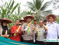 Polres Kutai Barat Gelar Panen Jagung Perdana, Wujud Sinergi untuk Ketahanan Pangan