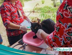 Ada Layanan Pemeriksaan Hewan Gratis di Gelaran PEDA XI Kubar