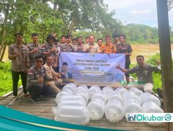 Sinergi DPRD dan Dinas Perikanan Kutai Barat, Tebar 41 Ribu Bibit Jelawat di Danau Bahadaq