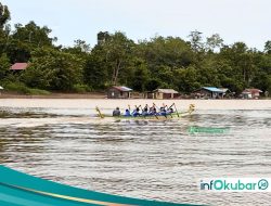 24 Tim Berlaga di Sungai Mahakam, Lomba Perahu Naga Warnai HUT ke-26 Kutai Barat