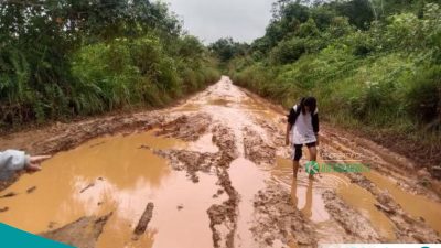 Akses Tanjung Isuy – Tanjung Jan Kian Memprihatinkan, Siswa Keluhkan Jalan Rusak dan Jembatan Miring