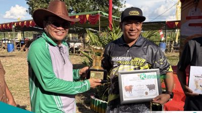 Kontes Ternak Kutai Barat 2026 Tuntas,&nbsp;Senyum Ceria Peternak Juara