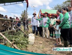 Kontes Ternak 2026 Jadi Langkah Strategis, Bupati Targetkan Kutai Barat Lumbung Ternak