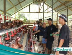 Himpunan Pemuda Mandiri Binaan TCM Sukses Kembangkan Program Peternakan