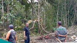 Viralkan Berita Fiktif, Petinggi Muara Beloan Siapkan Gugatan Hukum
