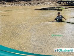 Musim Bangai Jadi Berkah, Perikanan Muara Beloan Perkuat Ekonomi Lokal