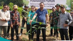 Pemkab Kutai Barat Kembangkan Aren untuk Lindungi Pesut Mahakam dan Perkuat Ekonomi Warga