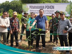 Pemkab Kutai Barat Kembangkan Aren untuk Lindungi Pesut Mahakam dan Perkuat Ekonomi Warga