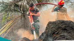 Delapan Jam Berjibaku, Prajurit Brigif TP 85/BTC Padamkan Karhutla 5 Hektare di Kutai Barat